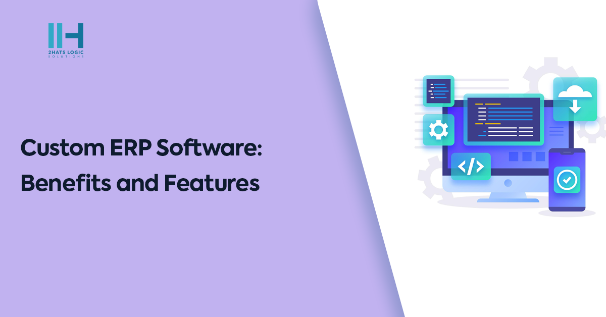 Custom ERP Software: Benefits and Features