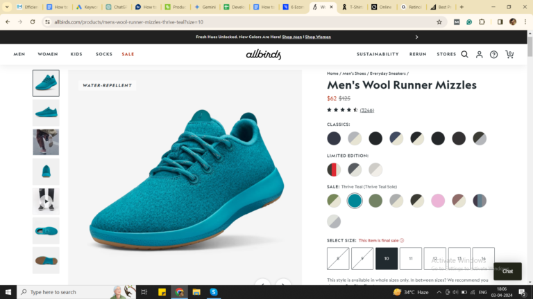 Allbirds shoe page Allbirds shoe page