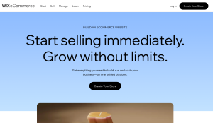 wix homepage