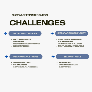 Challenges in Shopware ERP integration