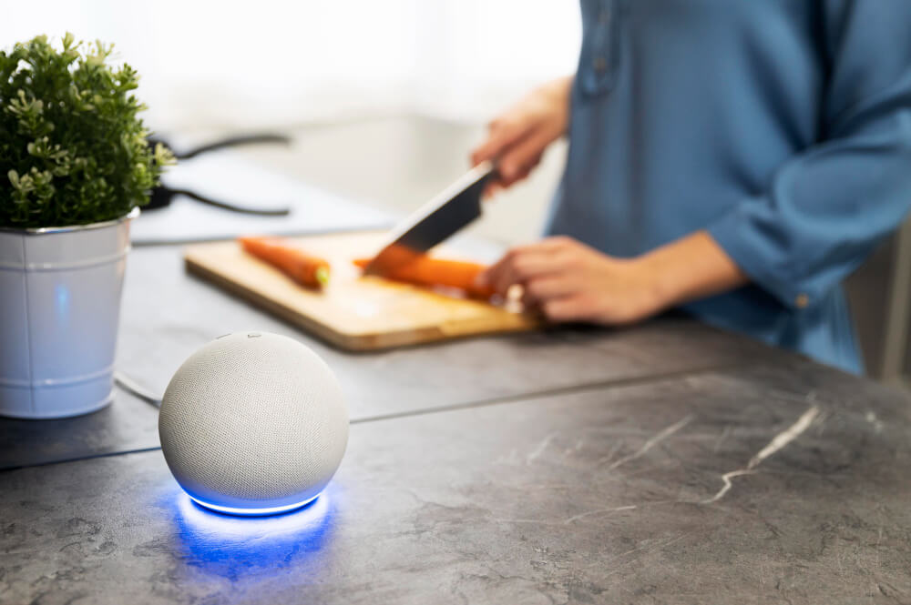 Voice Commerce Integration