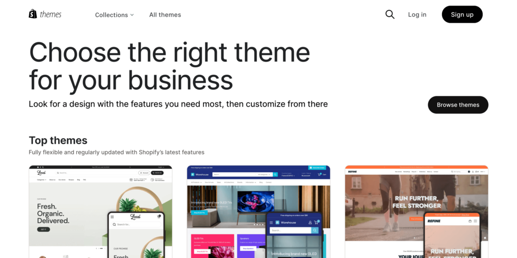 shopify theme