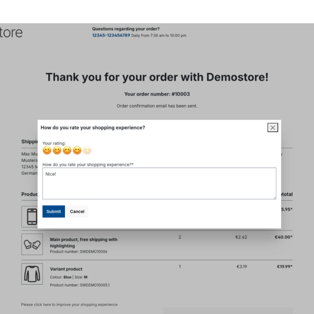 Shopping experience survey