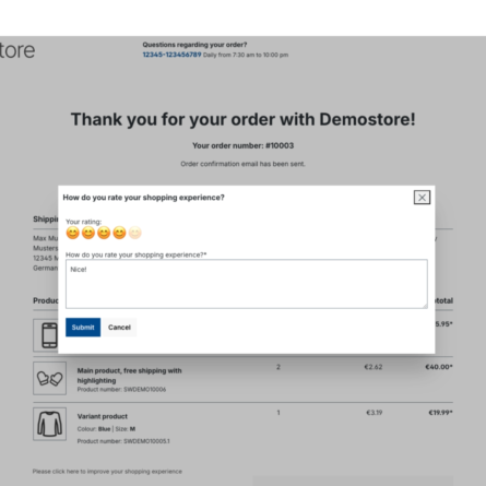 Shopping experience survey